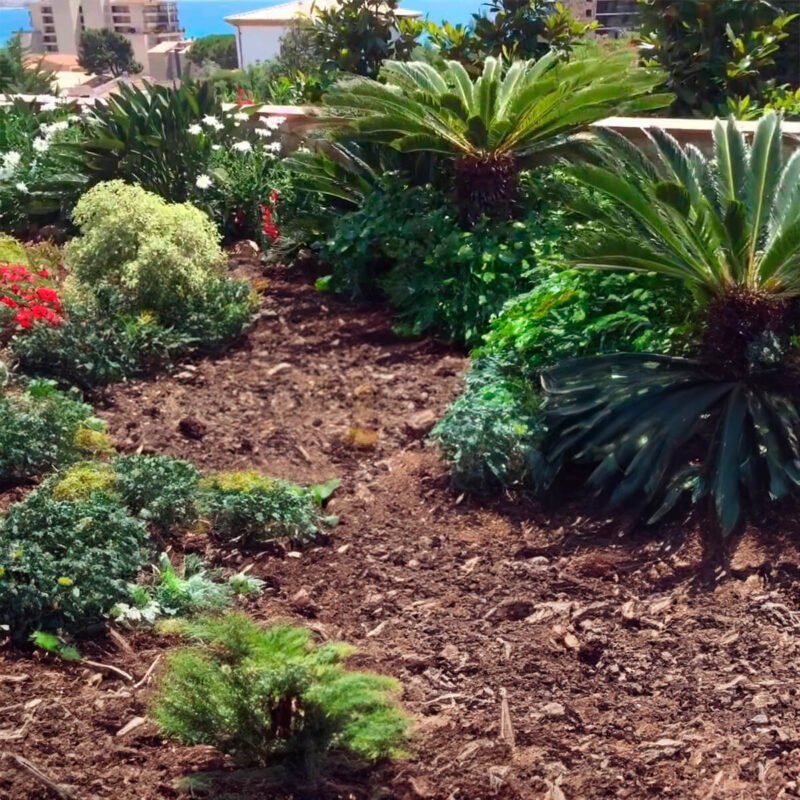 Mulch de pino bolsa de 20 lts - Imagen 5